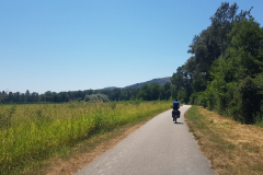 Rhône-Radweg Tag 2 zwischen Saint-Vallier, Tournon-sur-Rhône, Valence und Le Pouzin entlang der ViaRhôna