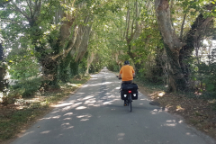 Rhône-Radweg 2026 – 4. Etappe von Mornas nach Tarascon mit Eindrücken aus Avignon, der Provence, Sehenswürdigkeiten und den Erlebnissen entlang der ViaRhôna