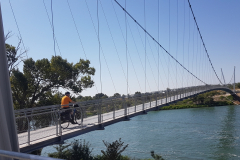 Rhône-Radweg 2026 – 4. Etappe von Mornas nach Tarascon mit Eindrücken aus Avignon, der Provence, Sehenswürdigkeiten und den Erlebnissen entlang der ViaRhôna