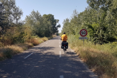 Rhône-Radweg 2026 – 4. Etappe von Mornas nach Tarascon mit Eindrücken aus Avignon, der Provence, Sehenswürdigkeiten und den Erlebnissen entlang der ViaRhôna