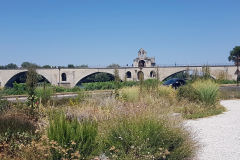 Rhône-Radweg 2026 – 4. Etappe von Mornas nach Tarascon mit Eindrücken aus Avignon, der Provence, Sehenswürdigkeiten und den Erlebnissen entlang der ViaRhôna