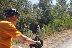 Rhône-Radweg 2026 – 4. Etappe von Mornas nach Tarascon mit Eindrücken aus Avignon, der Provence, Sehenswürdigkeiten und den Erlebnissen entlang der ViaRhôna