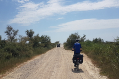 ViaRhôna Tag 5 durch die Camargue zwischen Tarascon, Arles und Saintes-Maries-de-la-Mer