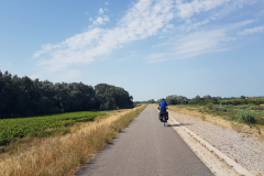 ViaRhôna Tag 5 durch die Camargue zwischen Tarascon, Arles und Saintes-Maries-de-la-Mer