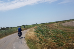 ViaRhôna Tag 5 durch die Camargue zwischen Tarascon, Arles und Saintes-Maries-de-la-Mer