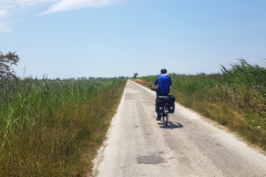 ViaRhôna Tag 5 durch die Camargue zwischen Tarascon, Arles und Saintes-Maries-de-la-Mer