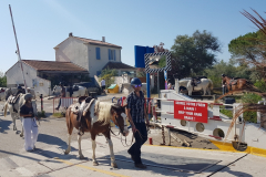 Die letzte Etappe auf dem Rhône-Radweg führte von Saintes-Maries-de-la-Mer nach Montpellier – durch die Camargue, vorbei an Flamingos, Lagunen und dem Mittelmeer