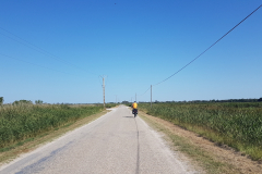 Die letzte Etappe auf dem Rhône-Radweg führte von Saintes-Maries-de-la-Mer nach Montpellier – durch die Camargue, vorbei an Flamingos, Lagunen und dem Mittelmeer