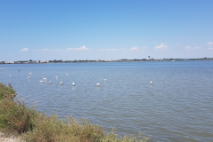 Rhône-Radweg 2026 – 6. Etappe von Saintes-Maries-de-la-Mer nach Montpellier mit Eindrücken der Camargue, Flamingos, Mittelmeerküste und der Ankunft in Montpellier