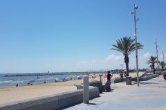 Die letzte Etappe auf dem Rhône-Radweg führte von Saintes-Maries-de-la-Mer nach Montpellier – durch die Camargue, vorbei an Flamingos, Lagunen und dem Mittelmeer.