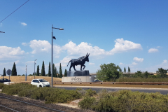 Die letzte Etappe auf dem Rhône-Radweg führte von Saintes-Maries-de-la-Mer nach Montpellier – durch die Camargue, vorbei an Flamingos, Lagunen und dem Mittelmeer.