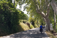 ViaRhôna Tag 5 durch die Camargue zwischen Tarascon, Arles und Saintes-Maries-de-la-Mer