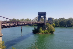 Steile Weinberge der Côte-Rôtie zwischen Ampuis und Condrieu entlang des Rhône-Radwegs