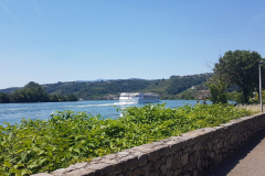 Steile Weinberge der Côte-Rôtie zwischen Ampuis und Condrieu entlang des Rhône-Radwegs