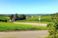 Am-Cafe-Roederwald-in-den-Weinbergen-oberhalb-von-Varnhalt-02