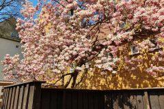 1_Rundgang-durch-die-Fuggerei-in-Augsburg-03