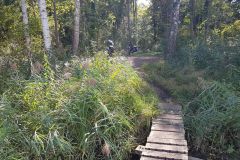 Vom-Ehrlichsee-zur-Insel-Rott-05