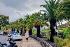 Fruehstueck-in-Santiago-del-Teide-auf-Teneriffa-auf-der-fahrt-nach-Los-Gigantes-09