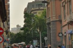 Stadtspaziergang-am-ersten-Nachmittag-in-Santa-Cruz-de-Teneriffe-25