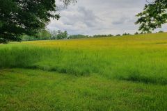 Abschied-vom-Koenigsschloss-und-von-Herrenchiemsee-04