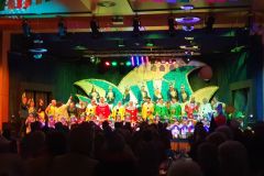 Seniorenprunksitzung-des-Leopoldshafener-Carns-Club-am-15.-Februar-2025-34