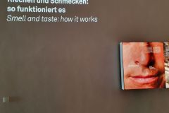 Besuch-im-sensoria-dem-Haus-der-Duefte-und-Aromen-in-Holzminden-16