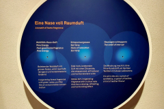 Besuch-im-sensoria-dem-Haus-der-Duefte-und-Aromen-in-Holzminden-30