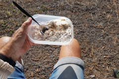 Nach-der-Fruehstueckspause-zum-Staforter-Baggersee-03