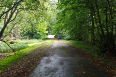 Allee im Schlosspark Bellin am frühen Morgen