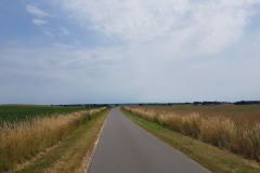 Radfahrer unterwegs durch die Weite der Mecklenburgischen Seenplatte