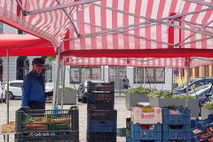 Rast auf dem Marktplatz von Stavenhagen mit frischen Erdbeeren
