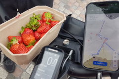Beim kurzen Stopp am Obststand in Stavenhagen durfte auch ich von den Erdbeeren kosten
