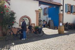 Zweite-Etappe-der-Radtour-Mittagspause-in-Strausswirtschaft-vom-Weingut-Kayser-in-Rhodt-unter-Rietburg-17