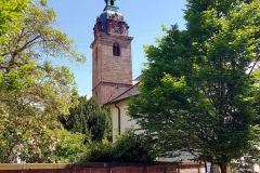 Zweite-Etappe-der-Radtour-Mittagspause-in-Strausswirtschaft-vom-Weingut-Kayser-in-Rhodt-unter-Rietburg-21