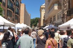 Street-Art-und-Markt-am-Sonntag-im-Kuenstlerviertel-Soho-in-Malaga-19