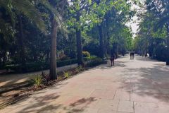Durch-den-Stadtpark-von-Malaga-zum-Restaurant-05