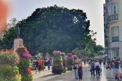 Durch-den-Stadtpark-von-Malaga-zum-Restaurant-09