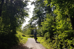 Durch Wald und Flur bei der Radtour am Chiemsee im Chiemgau, September 2025, Tag  2