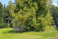 Innehalten an der Klinger-Kapelle. Radtour am Chiemsee im Chiemgau, September 2025, Tag 3