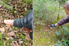 Peter findet einen Pilz bei der Radtour am Chiemsee im Chiemgau, September 2025, Tag 3