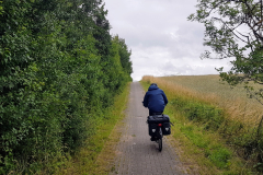 Radfahrer am Tollensee während der Seenplatte Radtour vierte Etappe