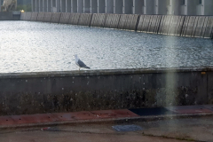 Flussreise Lyon Mittelmeer Etappe 5: Viviers – historische Altstadtperle an der Rhone