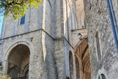Flussreise-Lyon-Mittelmeer-Etappe-5-Viviers-–-historische-Altstadtperle-an-der-Rhone-Cathedrale-Saint-Vincent-02