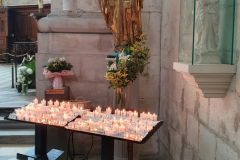 Flussreise-Lyon-Mittelmeer-Etappe-5-Viviers-–-historische-Altstadtperle-an-der-Rhone-Cathedrale-Saint-Vincent-38