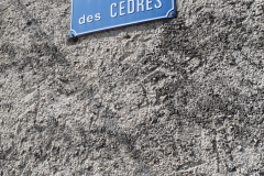 Flussreise Lyon Mittelmeer Etappe 5 – Viviers historische Altstadtperle an der Rhone