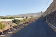 Walking-am-Morgen-in-Playa-Paraiso-auf-Teneriffa-06