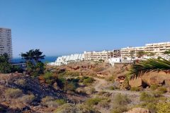 Morgendliches-Walken-in-Playa-Paraiso-auf-Teneriffa-03