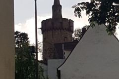 Samstag-3.-Mai-2025-zweiter-Tag-unserer-Radtour-ueber-67-km-von-Gruenstadt-nach-Ladenburg-178