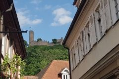 Samstag-3.-Mai-2025-zweiter-Tag-unserer-Radtour-ueber-67-km-von-Gruenstadt-nach-Ladenburg-181