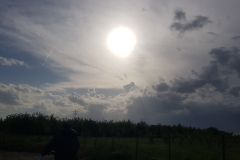 Samstag-3.-Mai-2025-zweiter-Tag-unserer-Radtour-ueber-67-km-von-Gruenstadt-nach-Ladenburg-193
